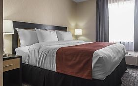 Quality Inn And Suites Kingston